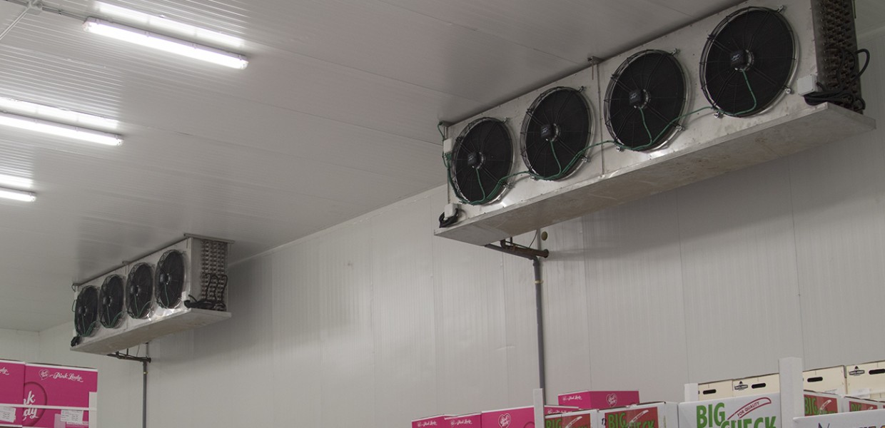 תכנון בניה  ושירות לחדרי קירור 